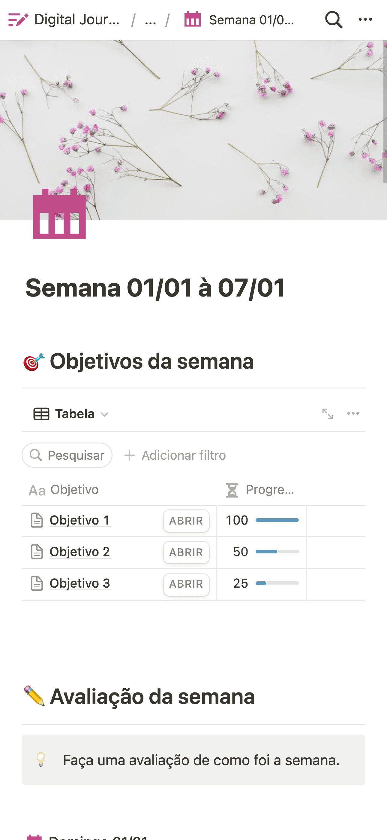 Digital Journal tema Light modo de visualização semanal.